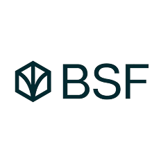 bsf